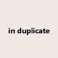 in duplicate是什么意思