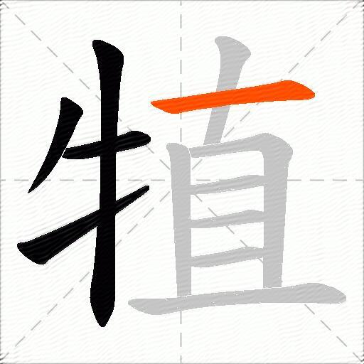 犆