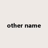 other name是什么意思