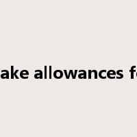 make allowances for是什么意思