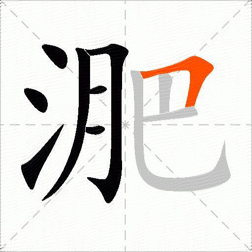 淝