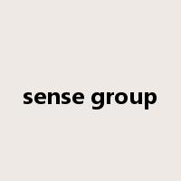 sense group是什么意思