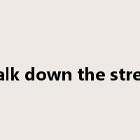 walk down the street是什么意思