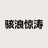 骇浪惊涛是什么意思