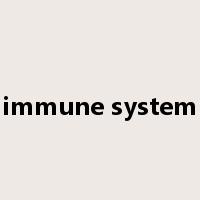 immune system是什么意思