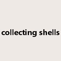 collecting shells是什么意思