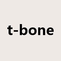 t-bone是什么意思