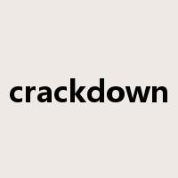 crackdown是什么意思