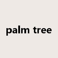 palm tree是什么意思