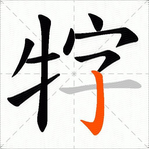牸