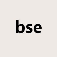 bse是什么意思