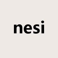 nesi是什么意思