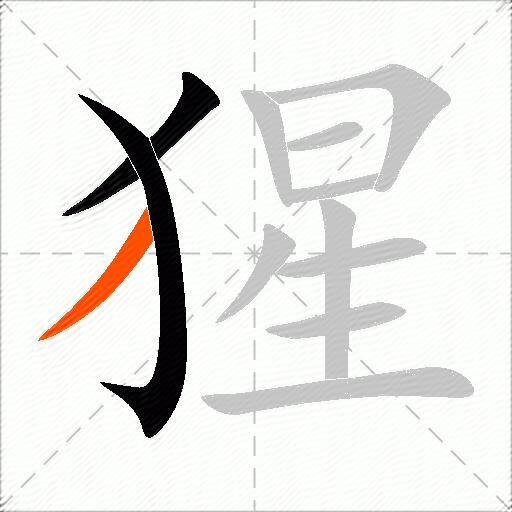 猩
