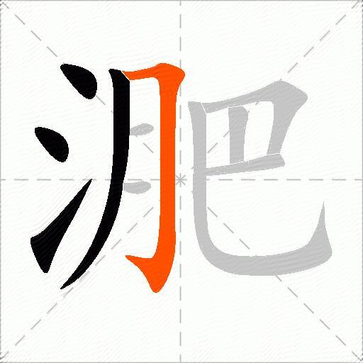 淝