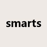 smarts是什么意思