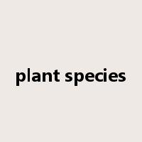 plant species是什么意思