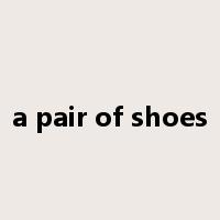 a pair of shoes是什么意思