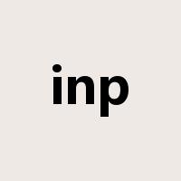 inp是什么意思