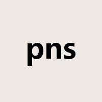 pns是什么意思