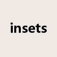 insets是什么意思
