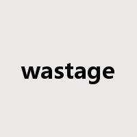 wastage是什么意思