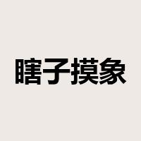 瞎子摸象是什么意思