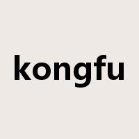 kongfu是什么意思