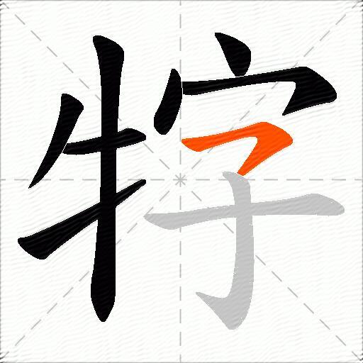 牸