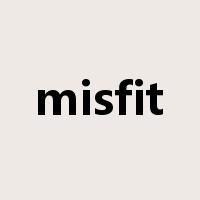 misfit是什么意思