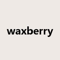waxberry是什么意思