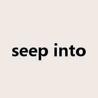 seep into是什么意思