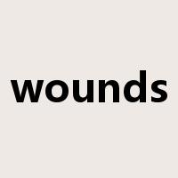 wounds是什么意思
