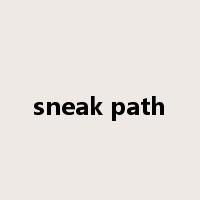 sneak path是什么意思
