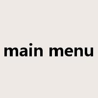 main menu是什么意思