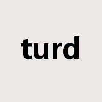 turd是什么意思