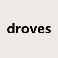 droves是什么意思