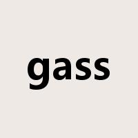 gass是什么意思