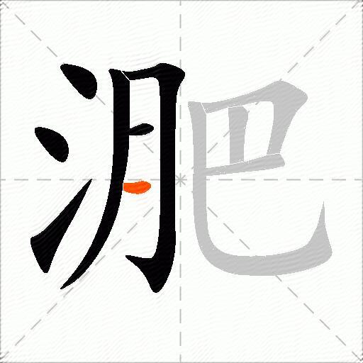 淝
