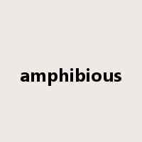 amphibious是什么意思