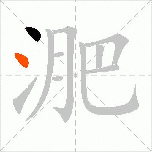 淝