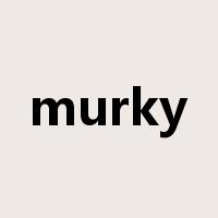 murky是什么意思