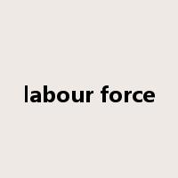 labour force是什么意思