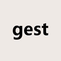 gest是什么意思