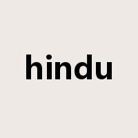 hindu是什么意思