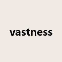 vastness是什么意思