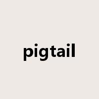 pigtail是什么意思