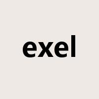 exel是什么意思