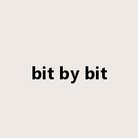 bit by bit是什么意思