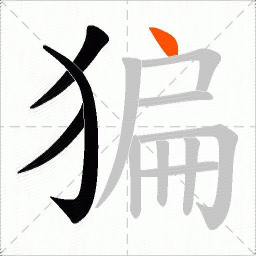 猵