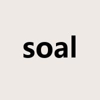 soal是什么意思